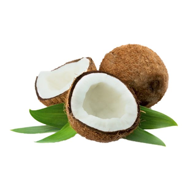 Dầu Dừa