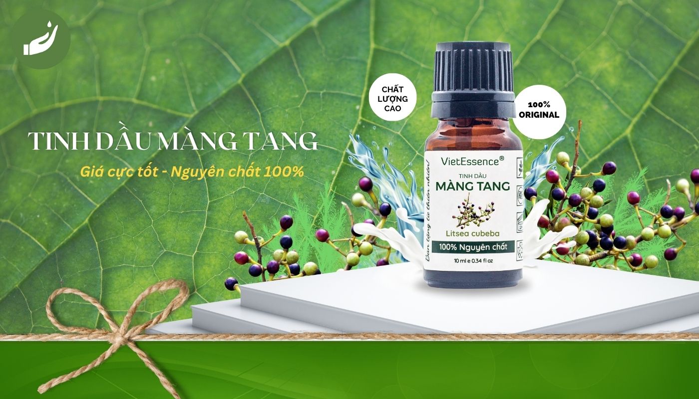 Tinh dầu nguyên chất 100% từ cây Màng Tang 