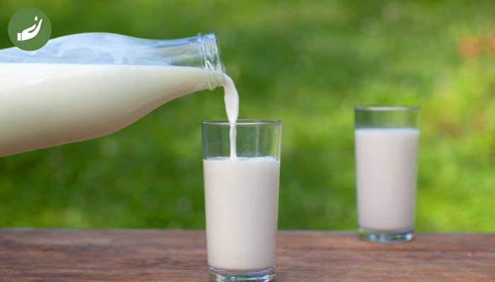 Cách dưỡng mi dài bằng sữa tươi