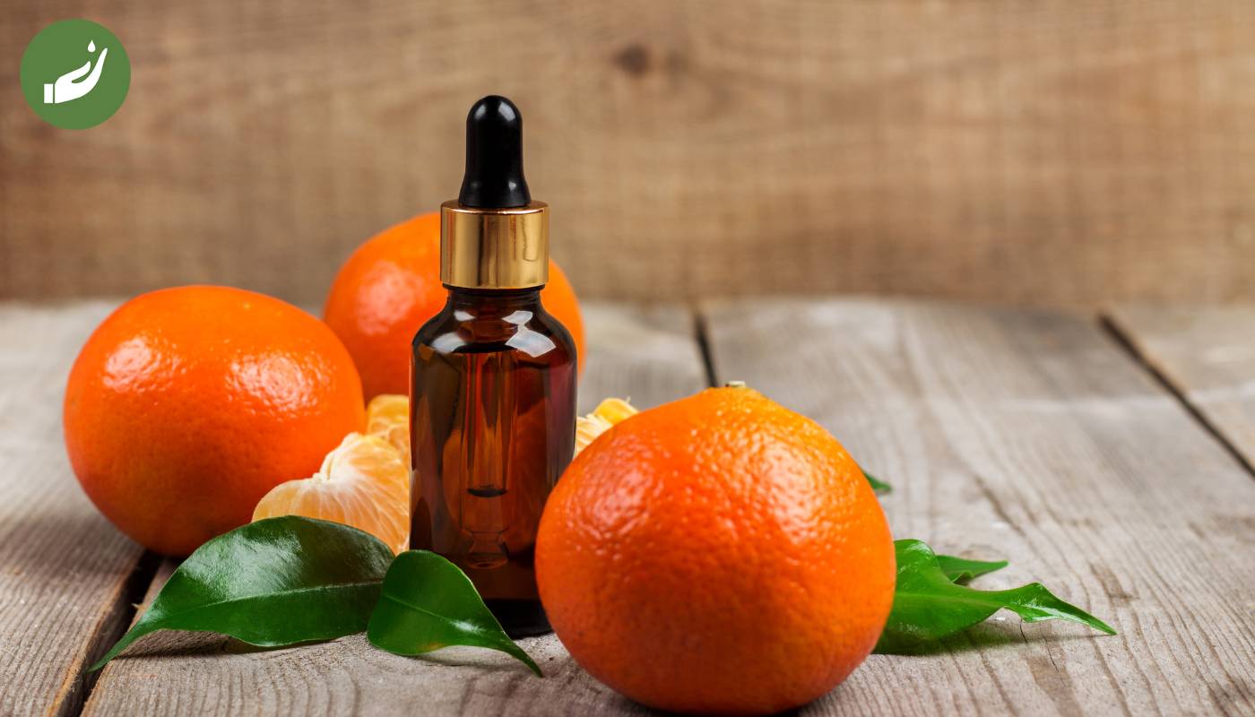 Tinh dầu cam ngọt giúp kích thích tiêu hóa